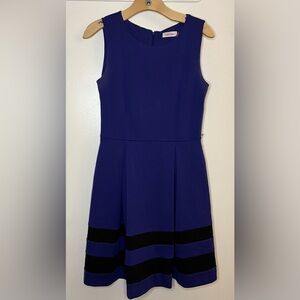 Calvin Klein Black & Blue Striped Dress